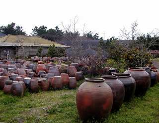 20090224-26Jeju (15).jpg